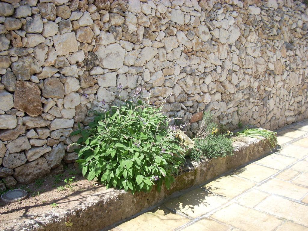 B&B Le Due Corti Martignano Exterior foto